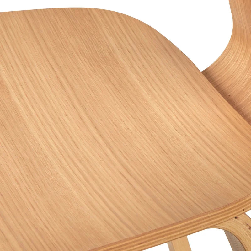 Mid-Century Modern Dining Chairs (Set of 2)